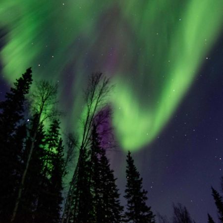 Riverside Log Cabin On-Site Aurora Viewing! North Pole ภายนอก รูปภาพ
